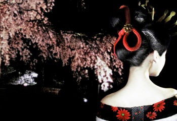 5 правил гейши