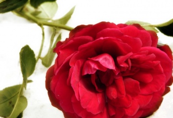 Первый секс у девушки: лучшие советы девственницам