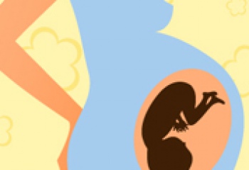 Внутриутробное развитие плода по неделям