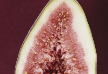 Чудесные свойства маракуйи для красоты и здоровья